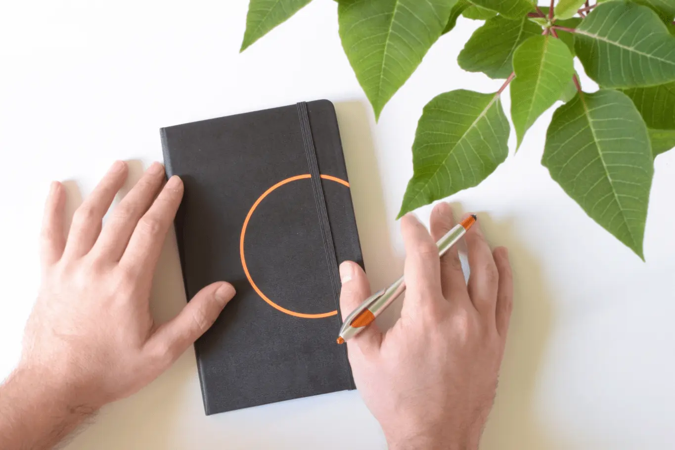 cropped-hands-man-with-diary-pen-white-background
